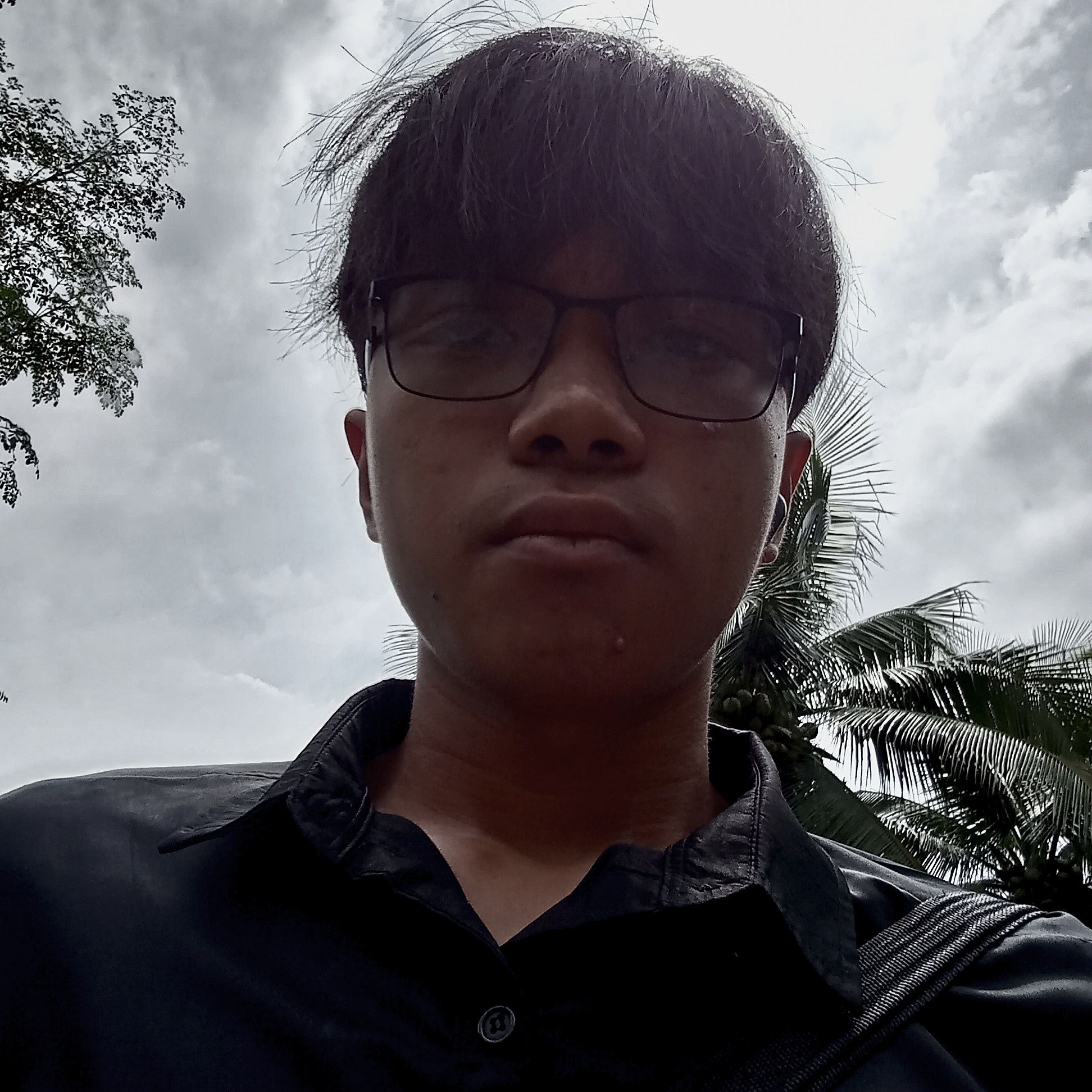 Francis photo